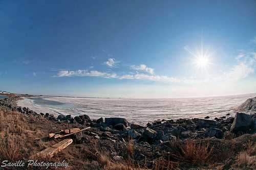 race to The Arctic