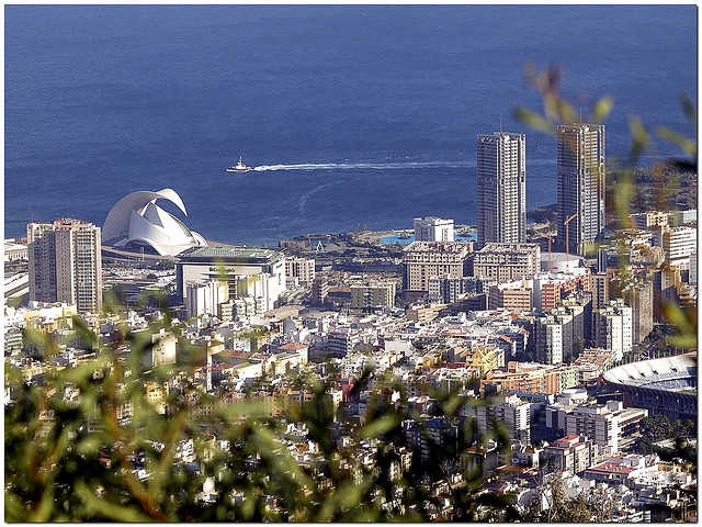 Tenerife spain canary