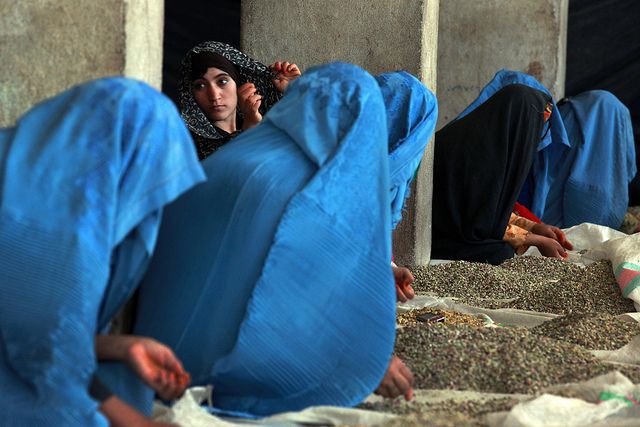 Afghanistan women