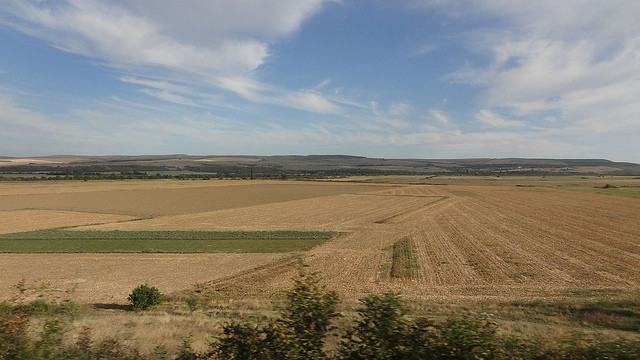 Northern bulgaria Danube Plains