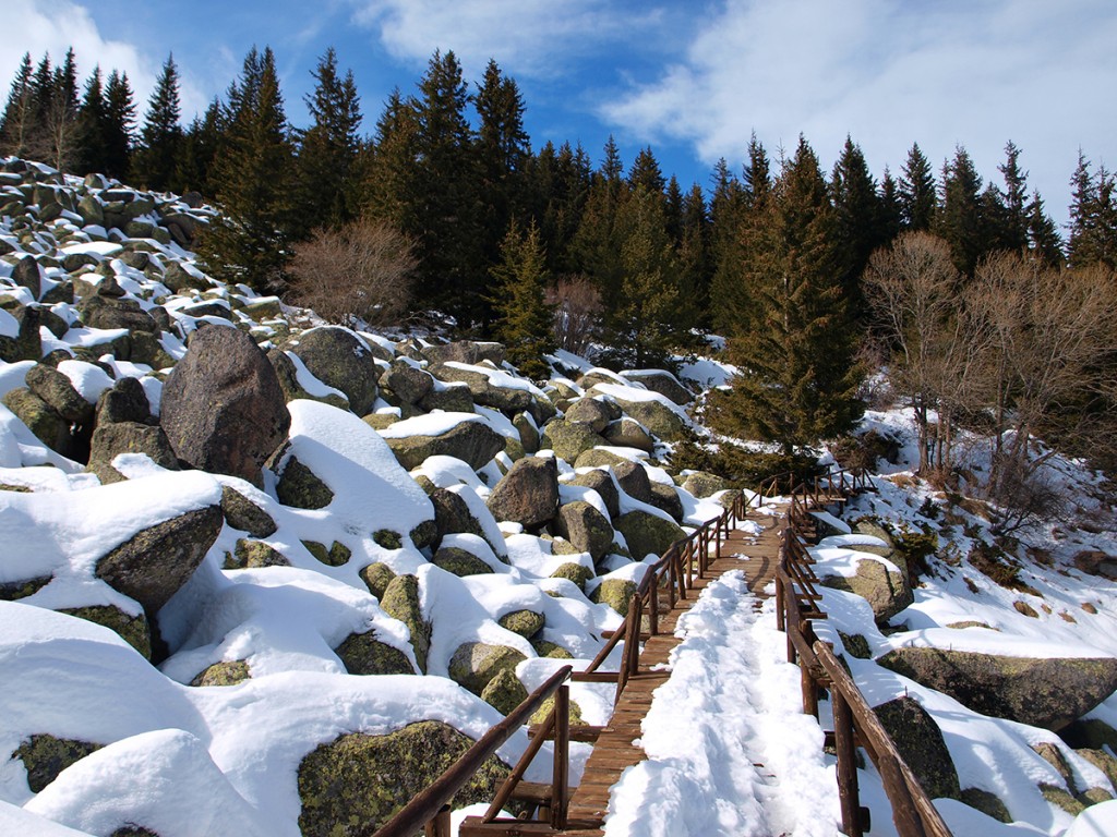 Vitosha mountain bulgaria