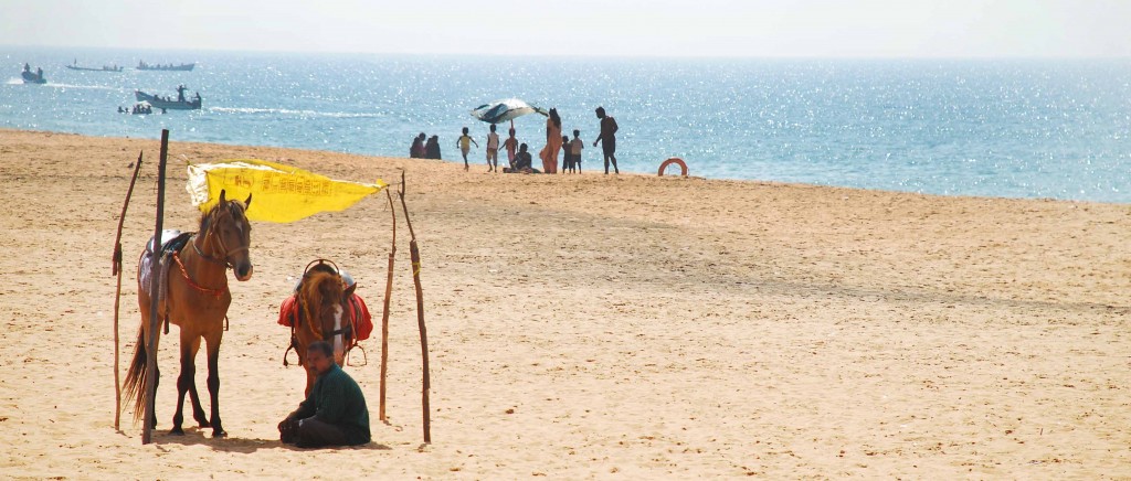 Two ponies awaiting customers at Shangumugam Beach. 