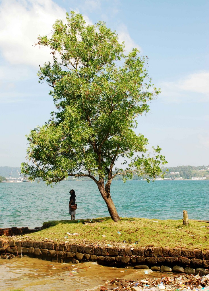 That's me under a huge tree at Viper Isles