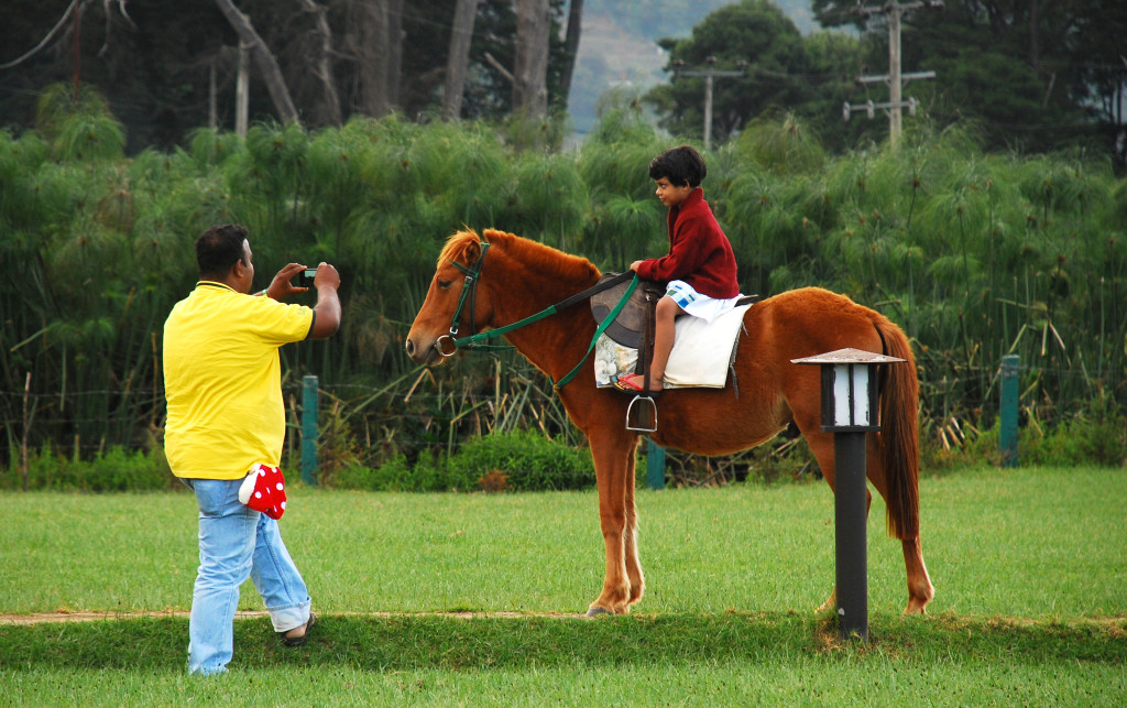 A dad takes the photo of his princess on a horse