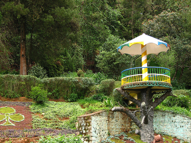 ooty botanical garden