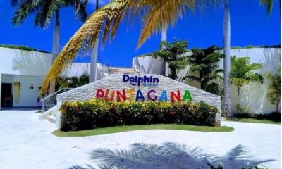 Dolphin-Punta-Cana