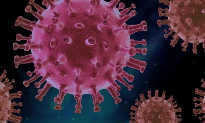 virus pathogen coronavirus