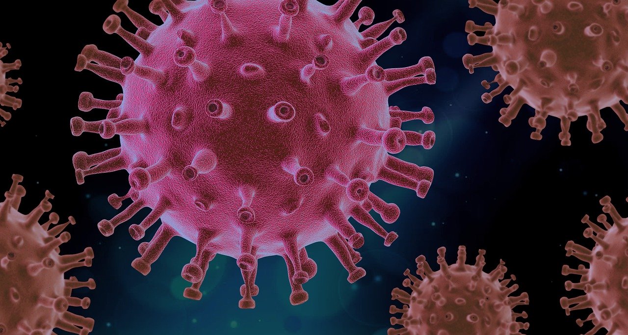 virus pathogen coronavirus