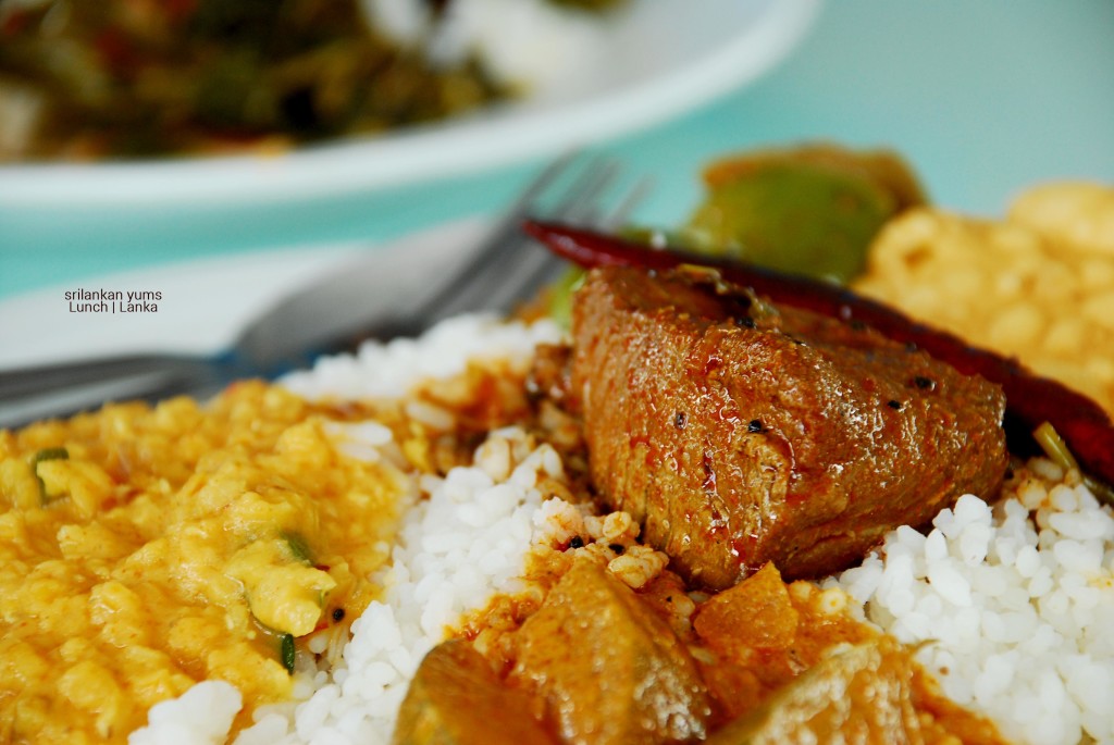 The yummy lunch of rice, fresh dal, bottle gourd curry, spicy fish! Mmm