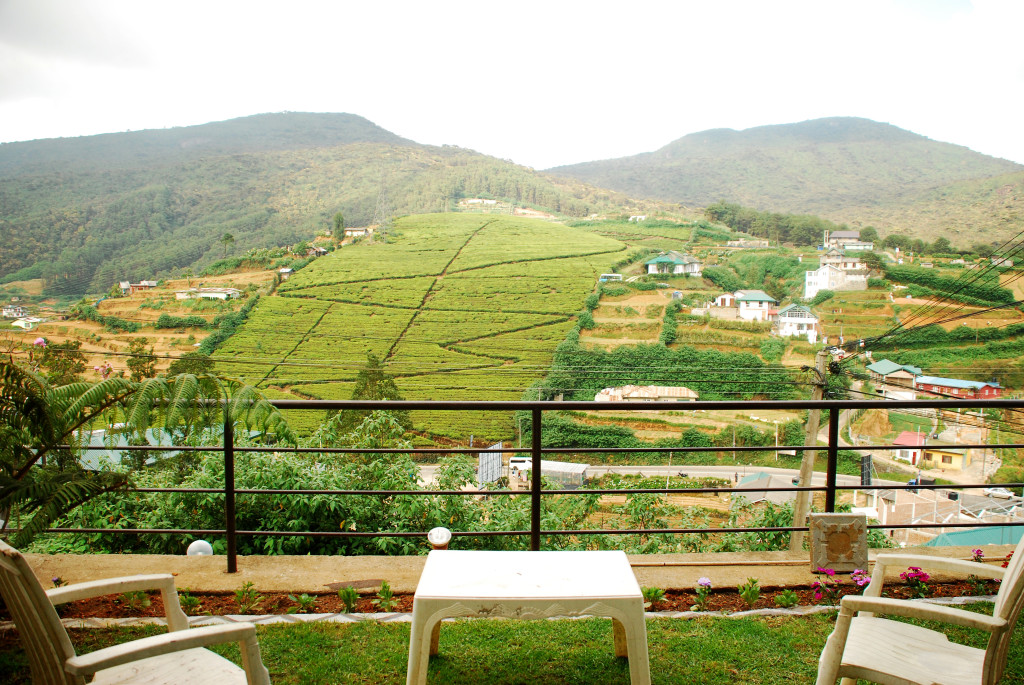 The hills of Nuwara Eliya