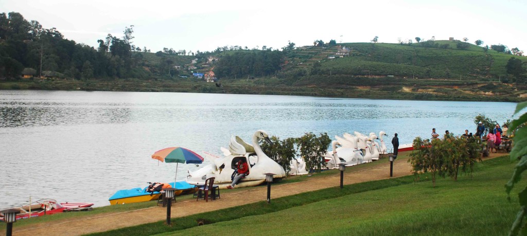 Lake Gregory Park with Swan Boats for a short ride in the waters