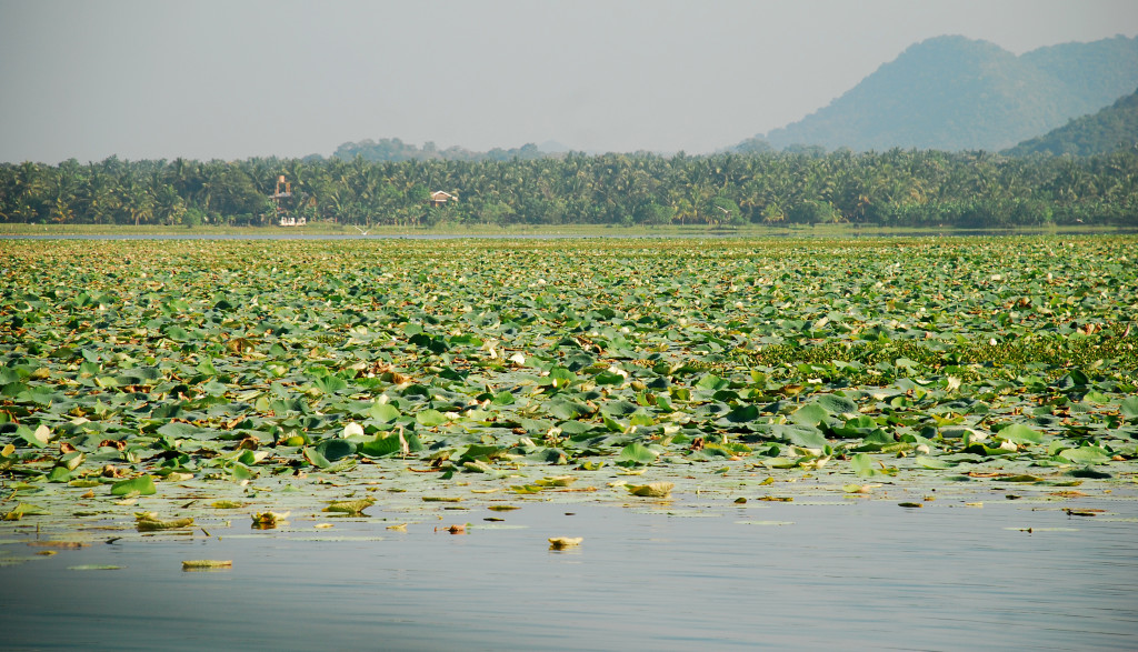 The Tissa Lake