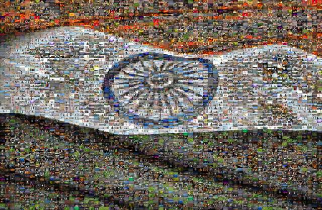 Indian flag collage