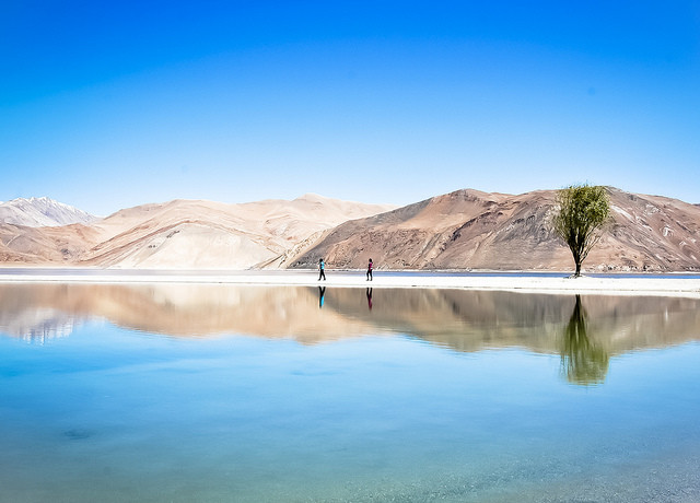 Pangong Laddakh