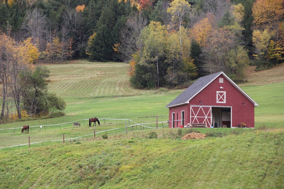 Barn farm