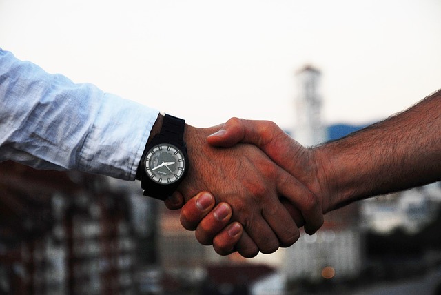 Diplomat handshake