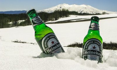 heineken beer dawn