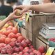 apple farmer market